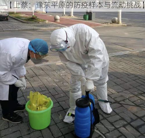 【上蔡：豫东平原的防疫样本与流动挑战】
