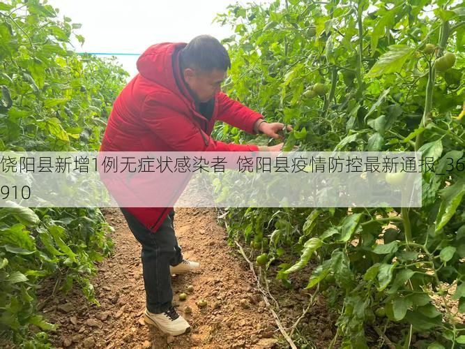 饶阳县新增1例无症状感染者  饶阳县疫情防控最新通报_36910