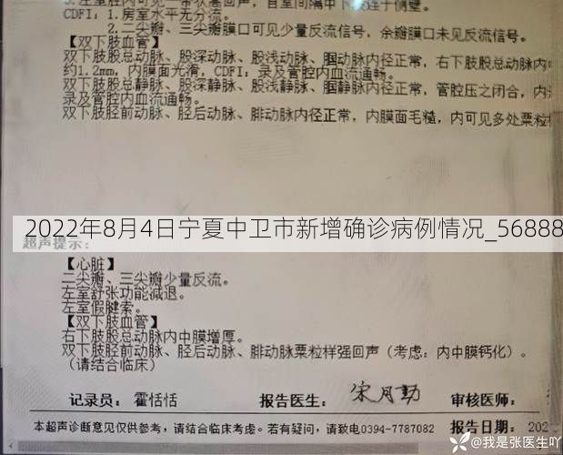 2022年8月4日宁夏中卫市新增确诊病例情况_56888