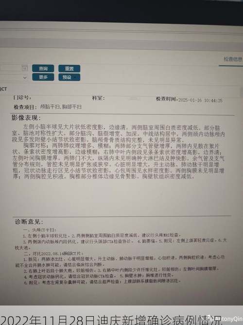 2022年11月28日迪庆新增确诊病例情况