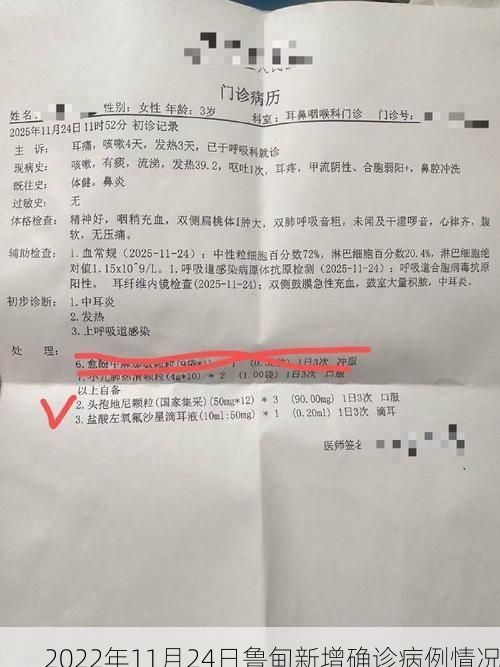 2022年11月24日鲁甸新增确诊病例情况