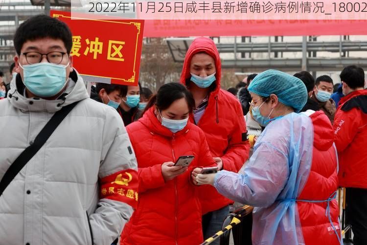 2022年11月25日咸丰县新增确诊病例情况_18002