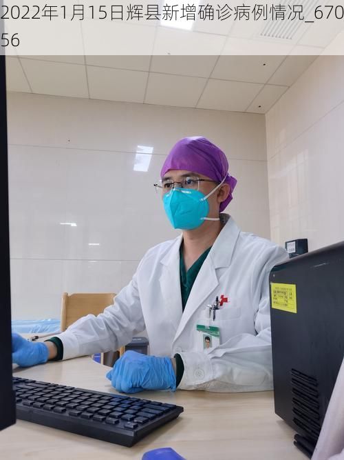 2022年1月15日辉县新增确诊病例情况_67056