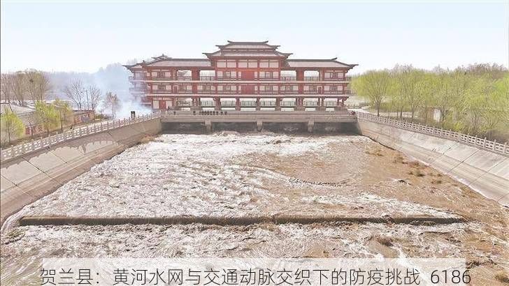 贺兰县:黄河水网与交通动脉交织下的防疫挑战_6186