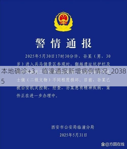 本地确诊+3,临潼通报新增病例情况_20385