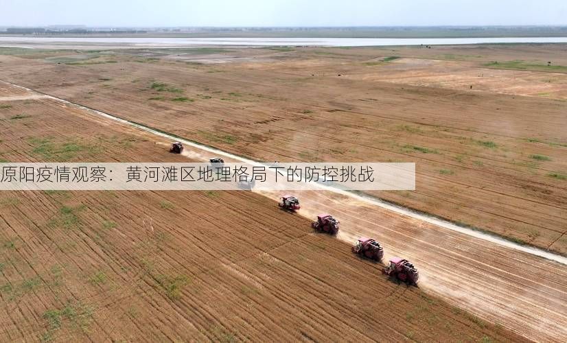 原阳疫情观察：黄河滩区地理格局下的防控挑战
