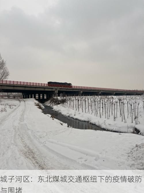 城子河区:东北煤城交通枢纽下的疫情破防与围堵