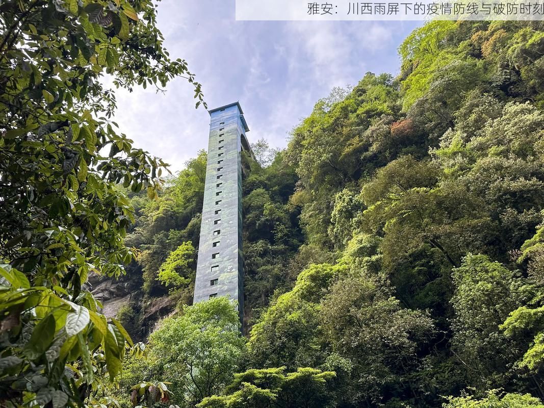 雅安：川西雨屏下的疫情防线与破防时刻