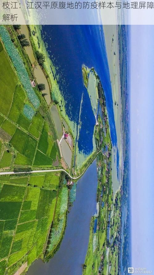 枝江:江汉平原腹地的防疫样本与地理屏障解析