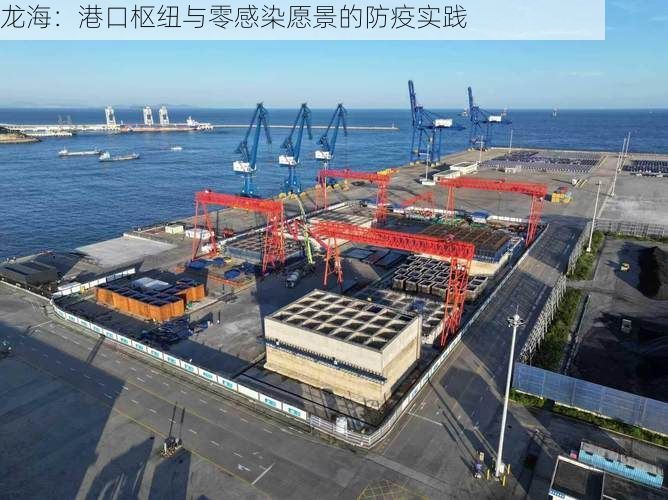 龙海：港口枢纽与零感染愿景的防疫实践