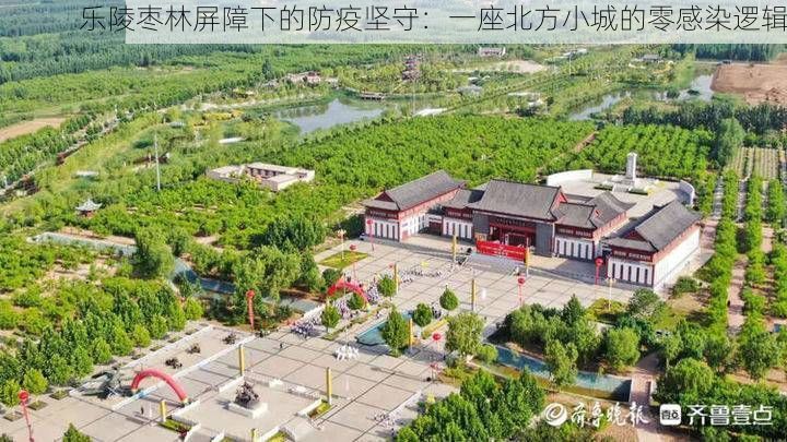 乐陵枣林屏障下的防疫坚守：一座北方小城的零感染逻辑