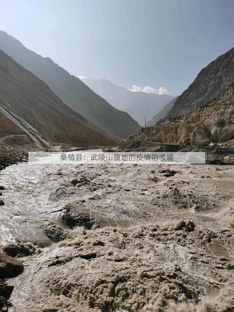 桑植县：武陵山腹地的疫情防波堤