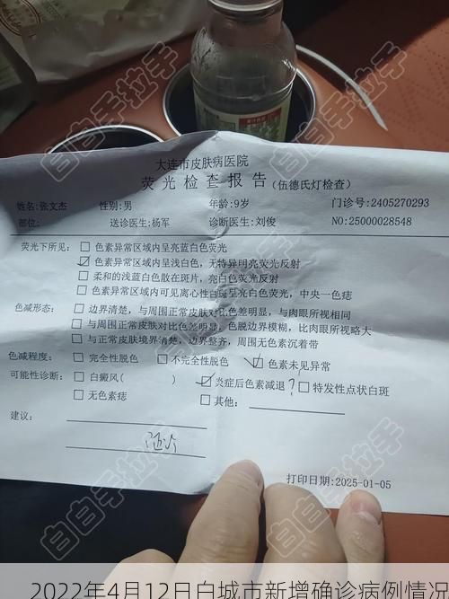 2022年4月12日白城市新增确诊病例情况