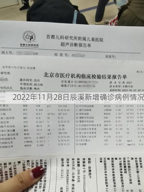2022年11月28日辰溪新增确诊病例情况