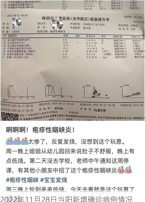 2022年11月28日当阳新增确诊病例情况