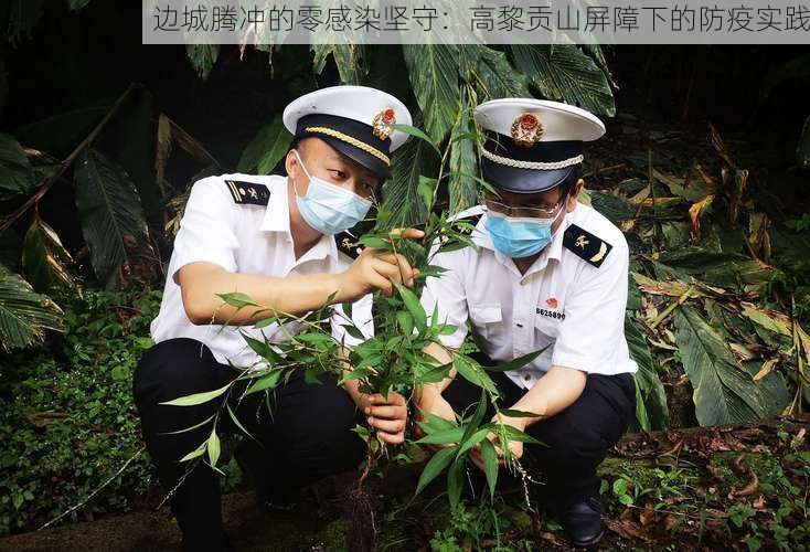 边城腾冲的零感染坚守:高黎贡山屏障下的防疫实践