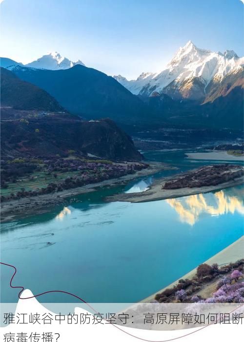 雅江峡谷中的防疫坚守：高原屏障如何阻断病毒传播？