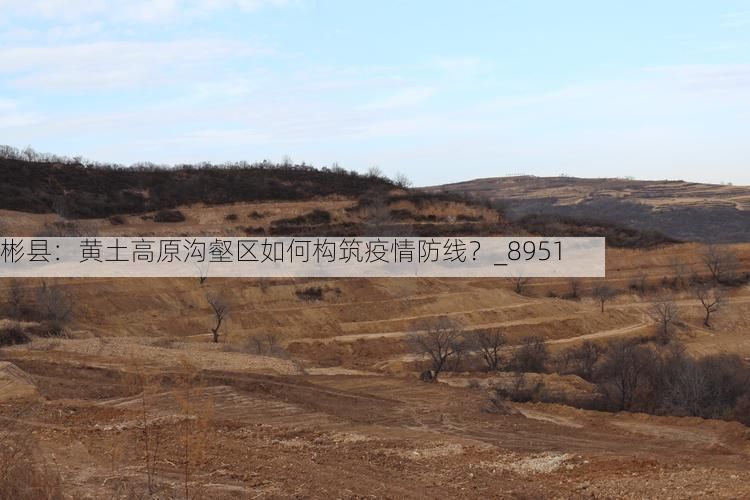 彬县:黄土高原沟壑区如何构筑疫情防线?_8951