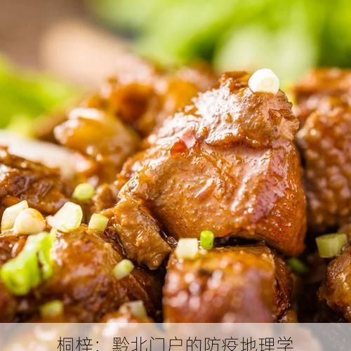 桐梓:黔北门户的防疫地理学