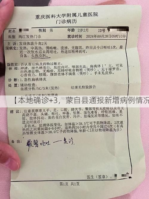 【本地确诊+3，蒙自县通报新增病例情况】