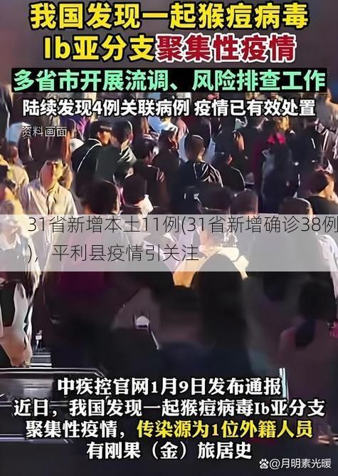 31省新增本土11例(31省新增确诊38例)，平利县疫情引关注