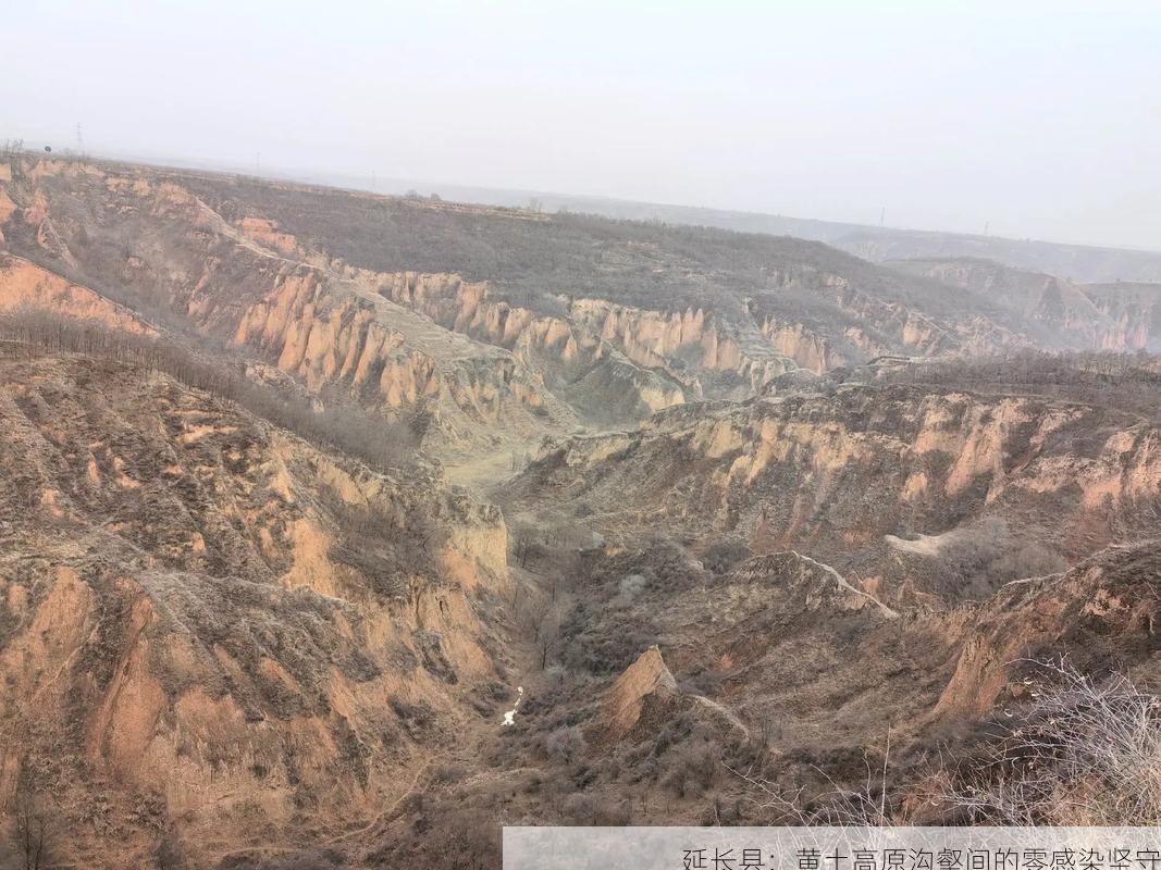 延长县：黄土高原沟壑间的零感染坚守