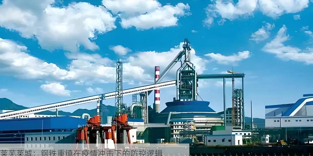 莱芜莱城：钢铁重镇在疫情冲击下的防控逻辑