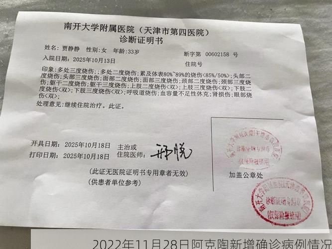 2022年11月28日阿克陶新增确诊病例情况