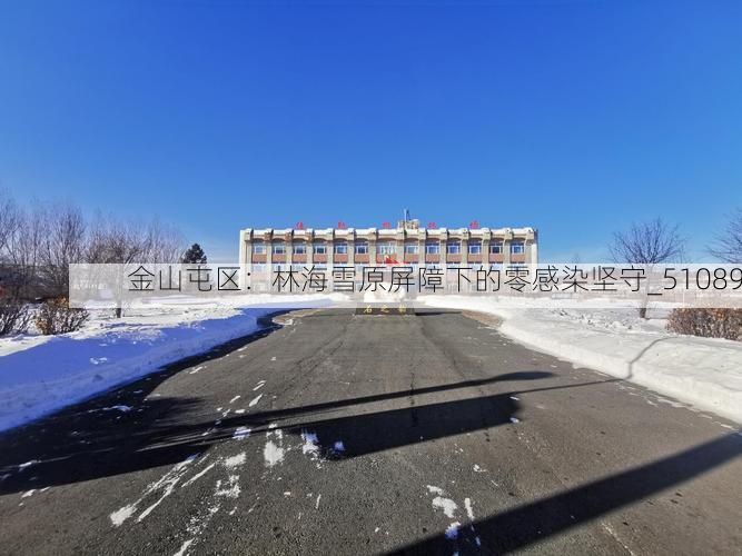 金山屯区：林海雪原屏障下的零感染坚守_51089