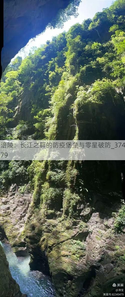 涪陵：长江之畔的防疫堡垒与零星破防_37479