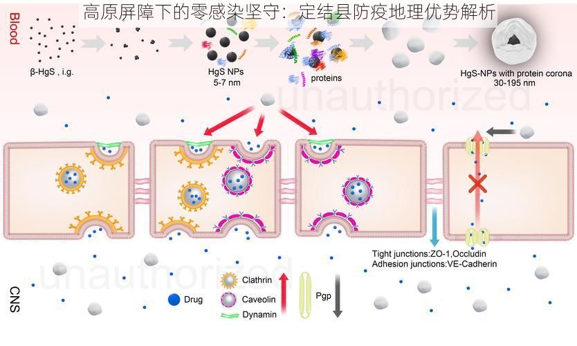 高原屏障下的零感染坚守:定结县防疫地理优势解析
