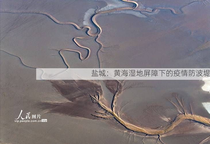 盐城：黄海湿地屏障下的疫情防波堤