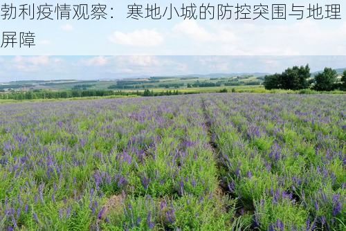勃利疫情观察：寒地小城的防控突围与地理屏障