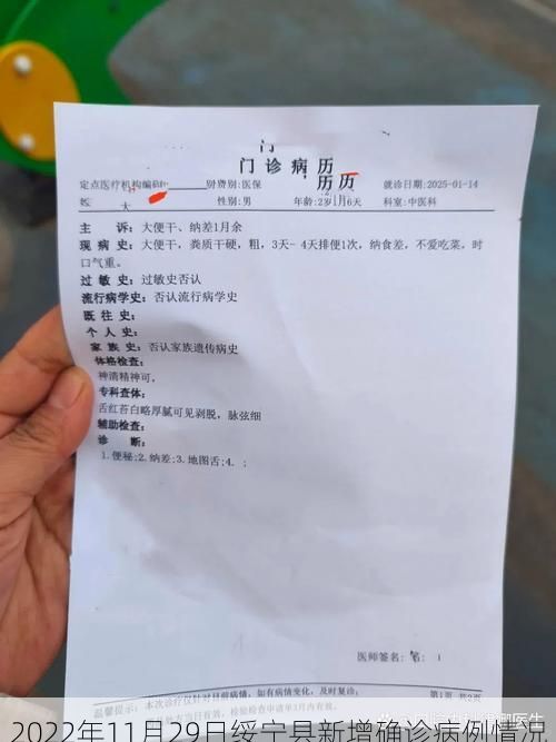 2022年11月29日绥宁县新增确诊病例情况