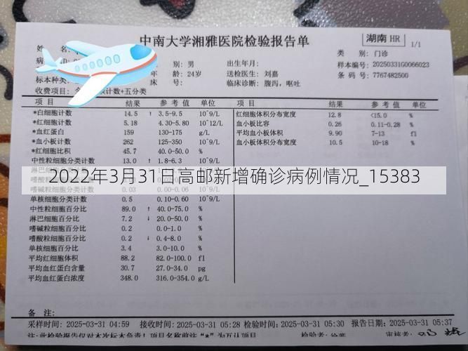 2022年3月31日高邮新增确诊病例情况_15383