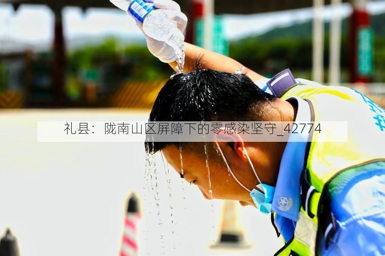 礼县：陇南山区屏障下的零感染坚守_42774