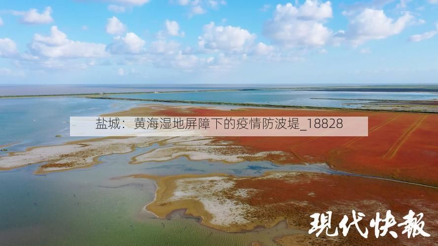 盐城：黄海湿地屏障下的疫情防波堤_18828