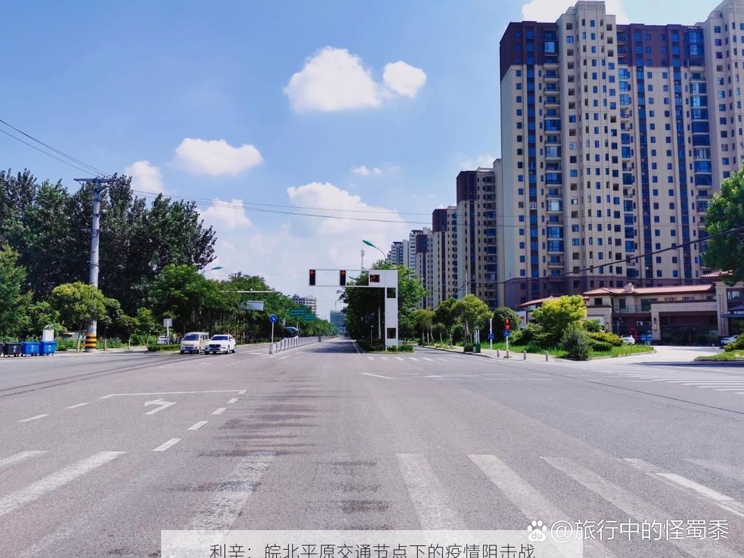 利辛:皖北平原交通节点下的疫情阻击战