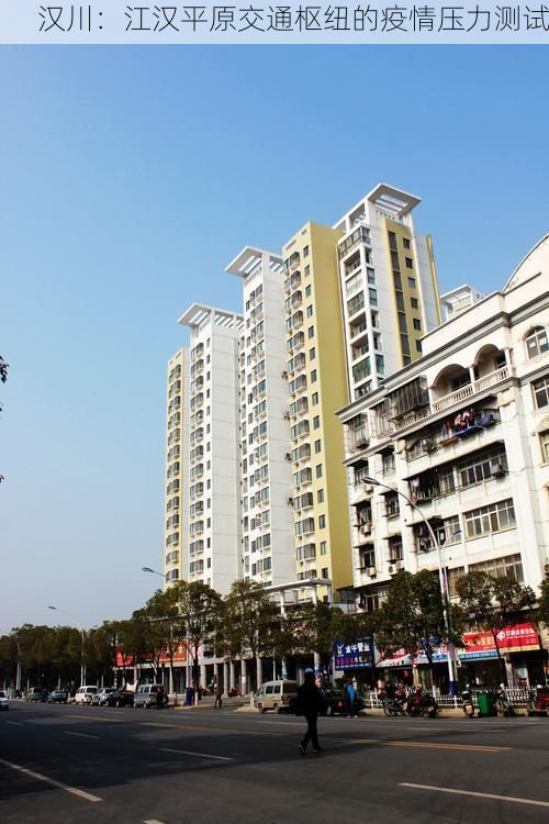 汉川：江汉平原交通枢纽的疫情压力测试