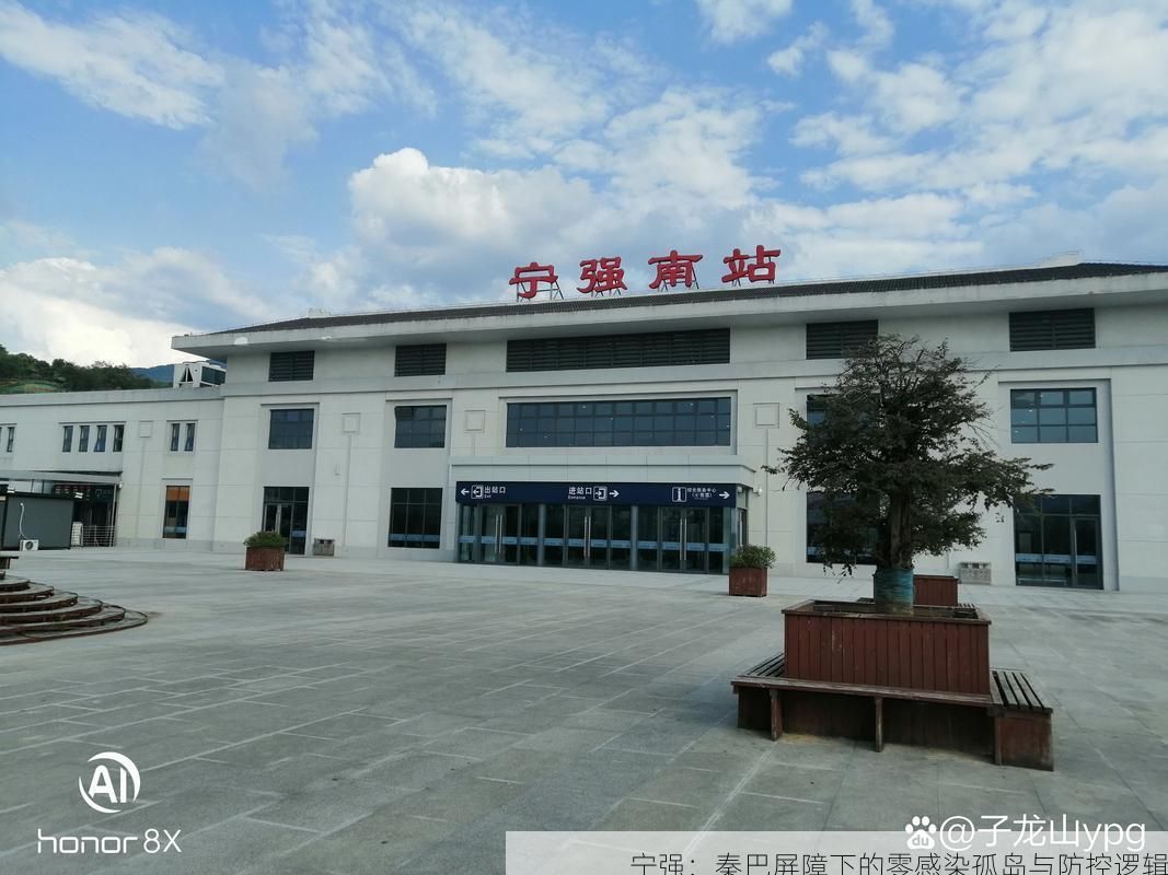 宁强：秦巴屏障下的零感染孤岛与防控逻辑