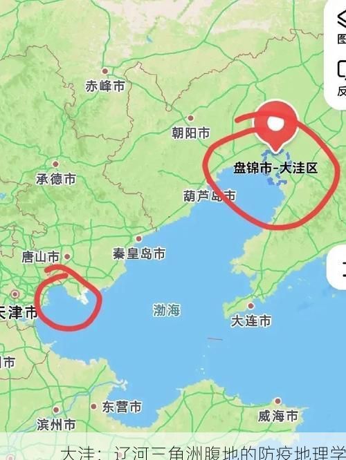 大洼：辽河三角洲腹地的防疫地理学