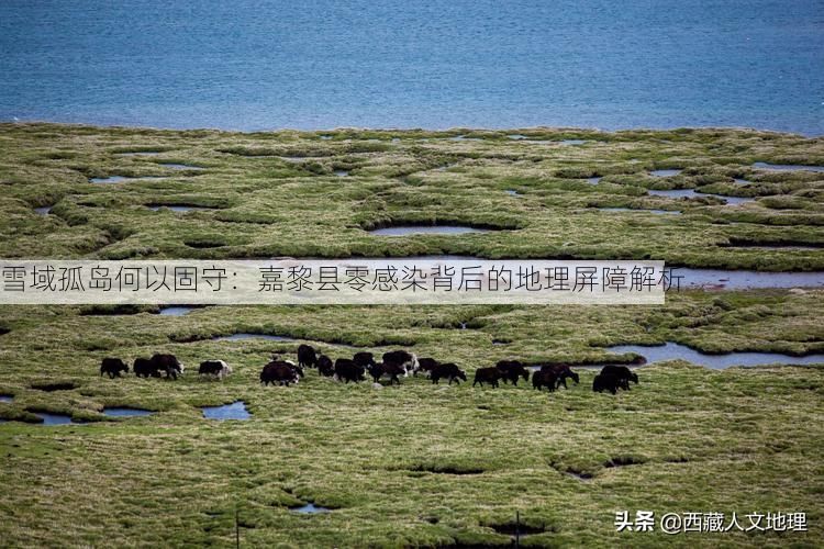 雪域孤岛何以固守:嘉黎县零感染背后的地理屏障解析