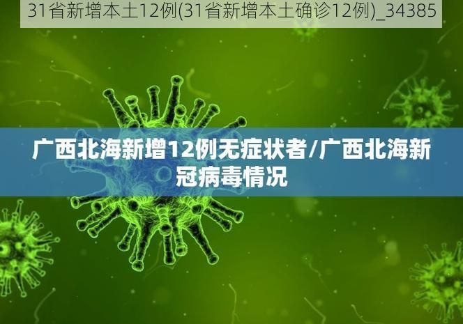 31省新增本土12例(31省新增本土确诊12例)_34385