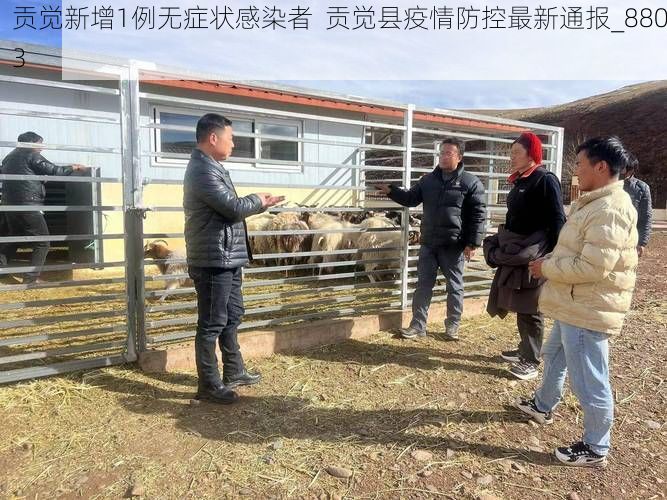 贡觉新增1例无症状感染者  贡觉县疫情防控最新通报_8803