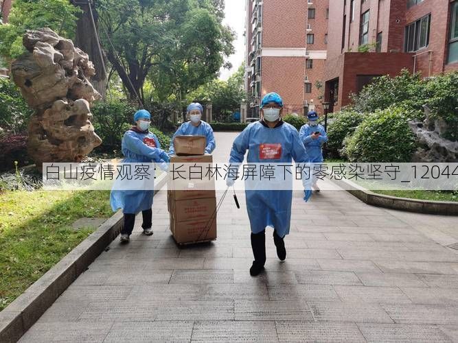 白山疫情观察：长白林海屏障下的零感染坚守_12044