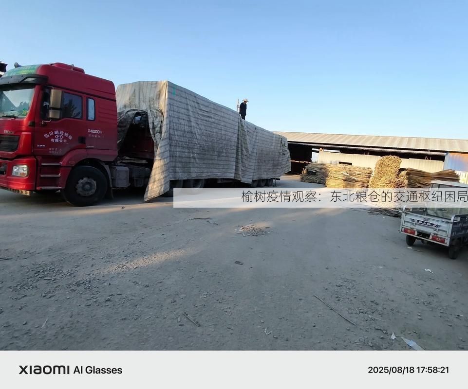 榆树疫情观察：东北粮仓的交通枢纽困局