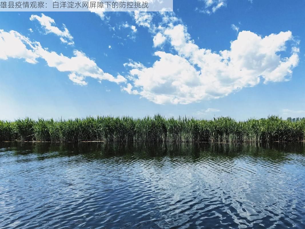 雄县疫情观察:白洋淀水网屏障下的防控挑战