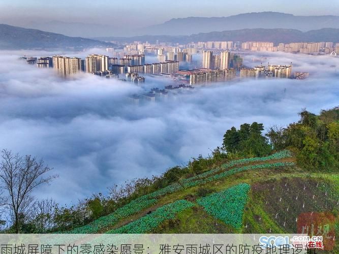 雨城屏障下的零感染愿景:雅安雨城区的防疫地理逻辑