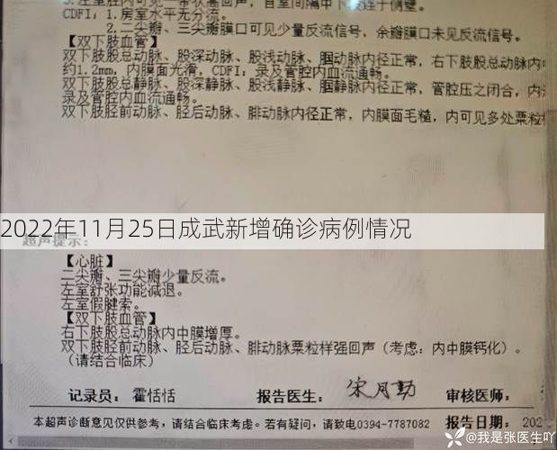 2022年11月25日成武新增确诊病例情况