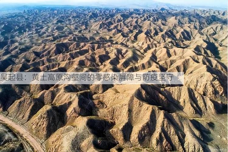 吴起县：黄土高原沟壑间的零感染屏障与防疫坚守